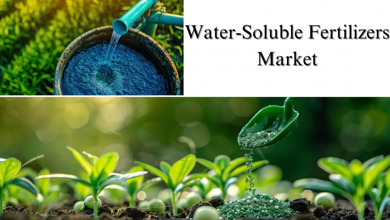 Water-Soluble Fertilizers Market Size, Share, Growth and Report Forecast Through 2032