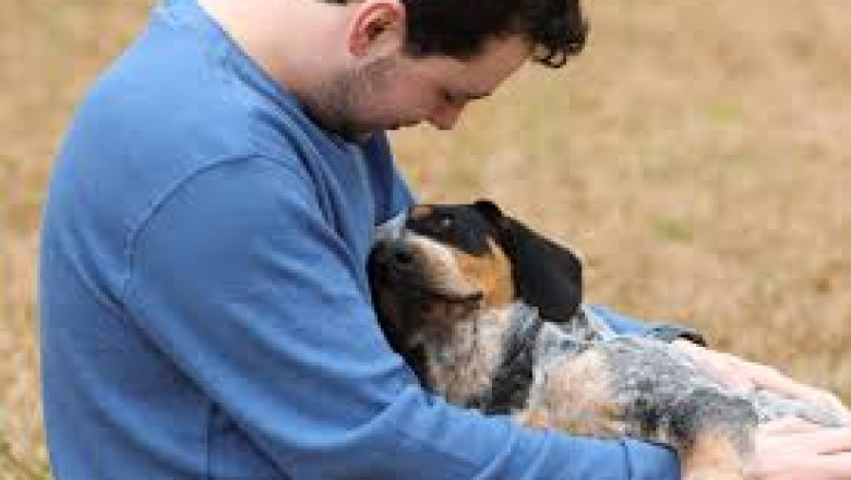 Signs Your Dog May Be Dying From Heart Failure