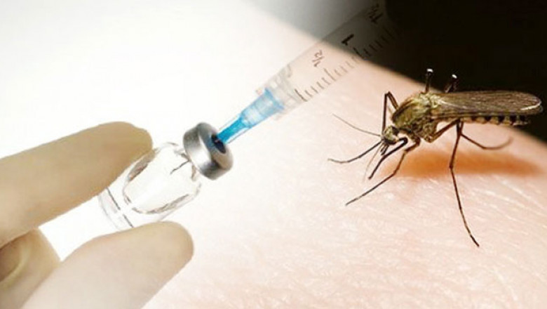 Dengue Vaccines: A Potential Shield Against the Deadly Disease
