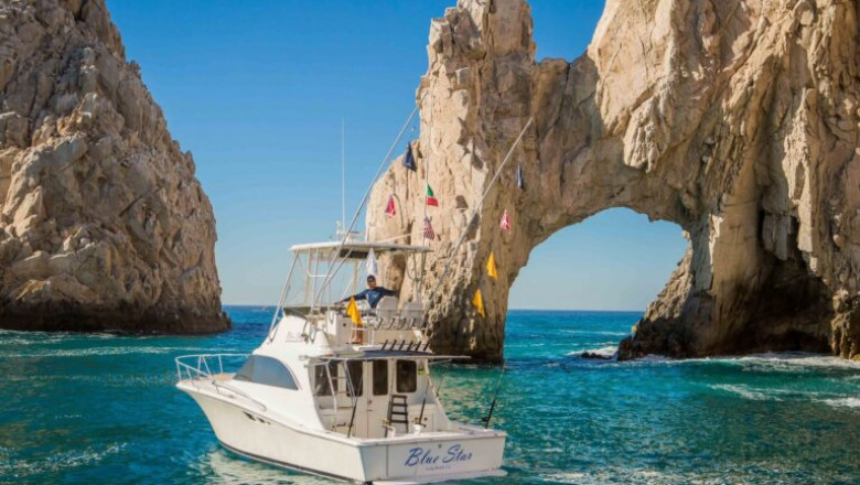 A Guide To The Best Marlin Fishing In Cabo And Reasonably Priced Cabo Fishing Equipment