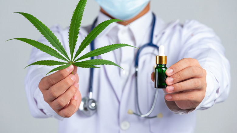 Australia Legal Cannabis Market: Size, Share, and Future Forecasts Through 2033