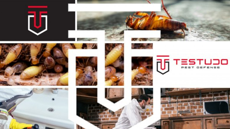 Testudo Pest Defense: The Local Experts in Eco-Friendly Pest Control
