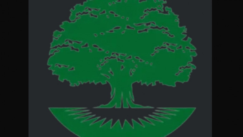 Why is Canton Tree Care the best choice for tree maintenance in Ohio?