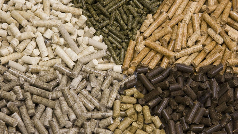 Wood Pellets Market – Sustainable Energy Source Driving Global Demand