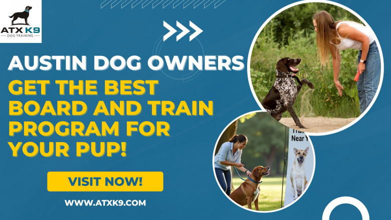 Austin Dog Owners – Get the Best Board and Train Program for Your Pup!