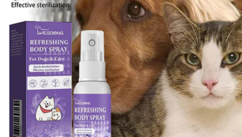 Eco-Friendly Pet Cleaning: How to Keep Your Home Safe for Your Furry Friend