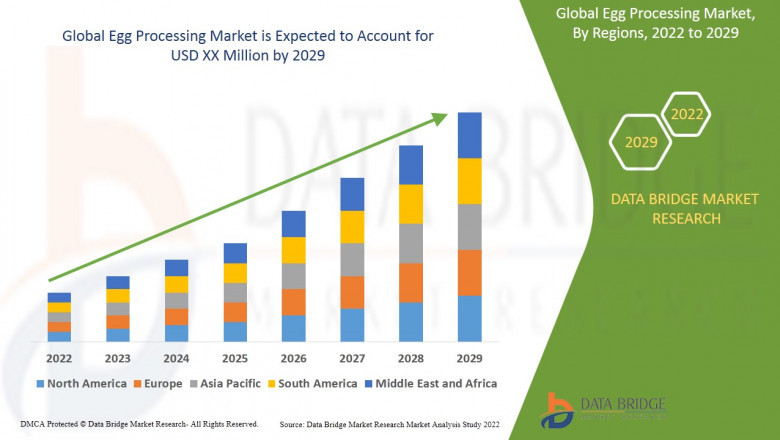 Egg Processing Market, Size, Share Trends, Growth Opportunities and Competitive Outlook