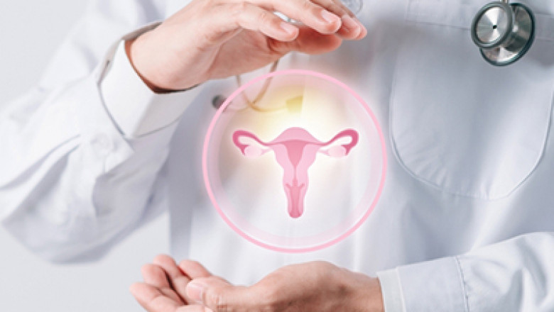 Gynecologist in Guntur | Best Obstetrician in Guntur | Sasya Fertility Centre