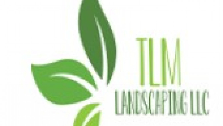 Professional Tree Trimming and Lawn Service in Pearland: Keep Your Landscape Beautiful