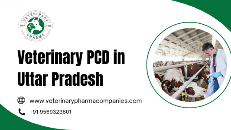 Veterinary PCD in Uttar Pradesh