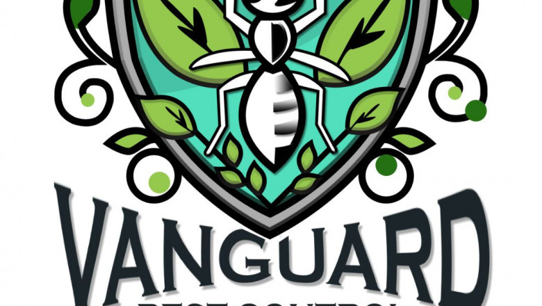 Discreet and Professional Commercial Pest Control Services In Melbourne Businesses