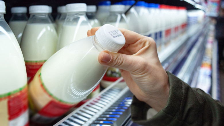 Milk Market Analysis, Size, Share, Growth, Trends, and Forecasts by 2031
