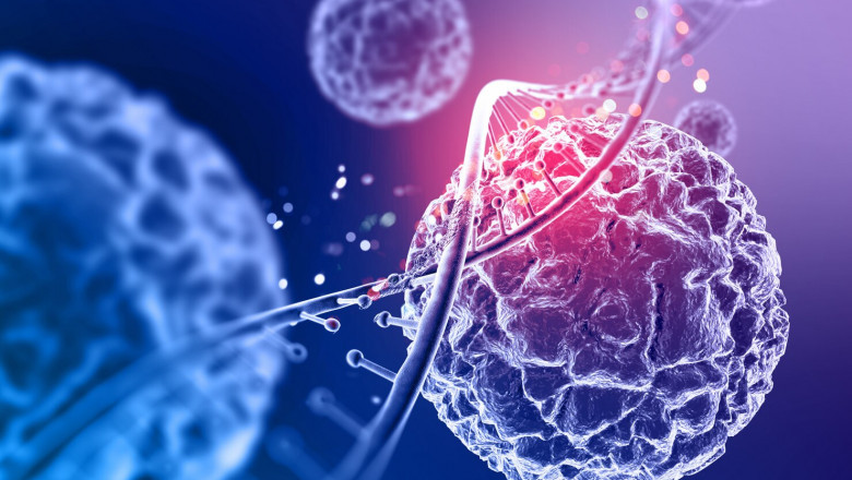 The Future of Medicine: Exploring the Growing Theranostics Market