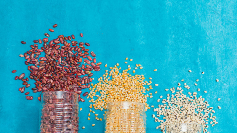 Know About Corn Distillers Dried Grains (DDGS)