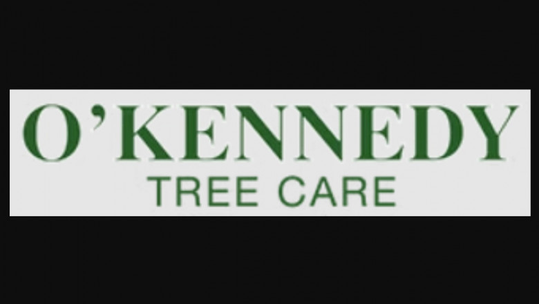 For all your tree care needs in Munster, call O'Kennedy Tree Care