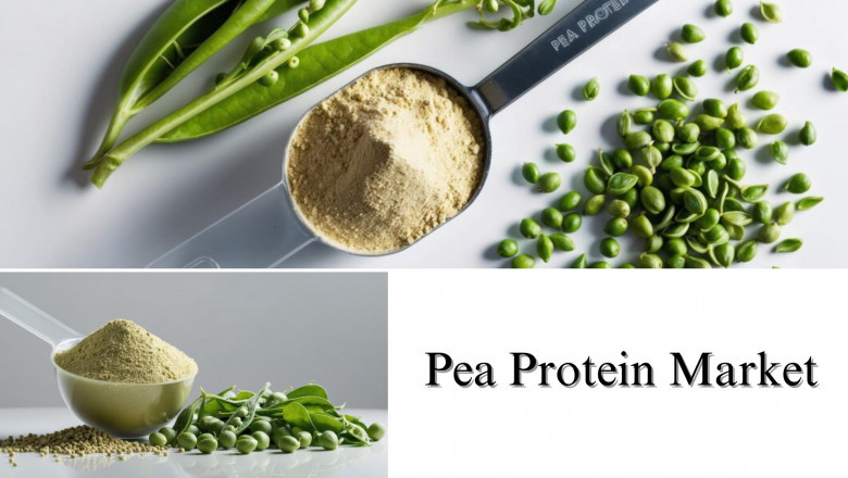 Pea Protein Market Insights and Forecast: Size, Share, and Growth, 2032