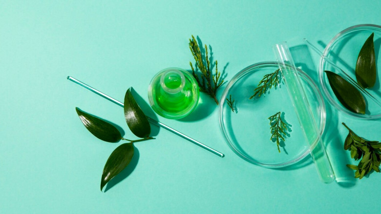 Global Cosmetic Preservatives Market: Top Insights, Market Size & Forecast for 2030