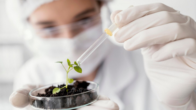 Top Players in the Biosimilars Market and What’s Driving Growth in 2021-2030