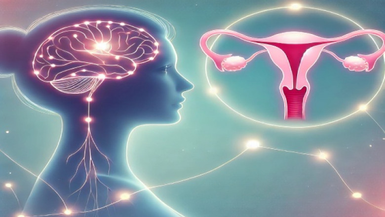 The Connection Between Mental Health And Gynecological Issues
