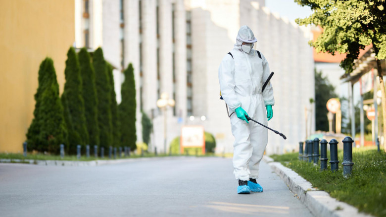Pest Control Coral Springs – Affordable and Reliable Services Near You