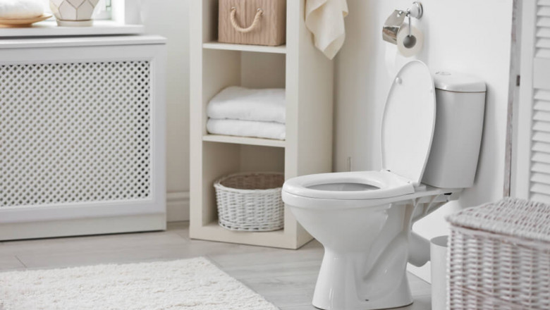 How to Prevent Blocked Toilets: A Marlborough Homeowner’s Guide