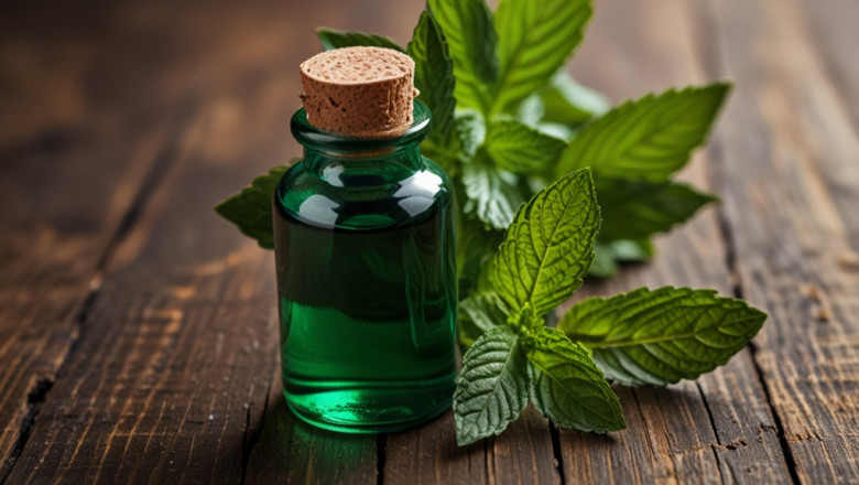 Peppermint Oil Prices, Trend, Chart, News, Index, Graph and Forecast