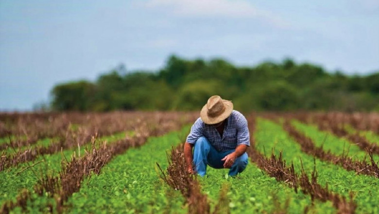 Regenerative Agriculture Market will grow at highest pace owing to increasing demand for organic and sustainable farming