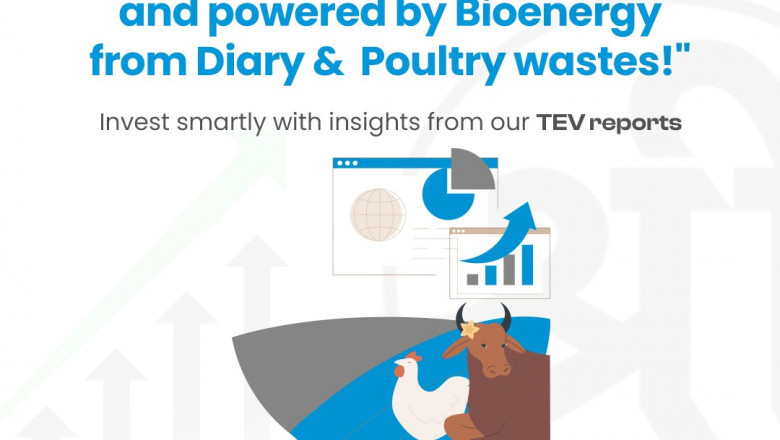 TEV Consultants in India: Expert Guidance for Smart Investments