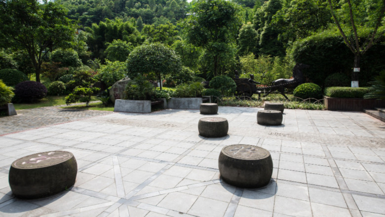 Wall Wonderland: 6 Classy Ideas for a Stunning Garden Makeover
