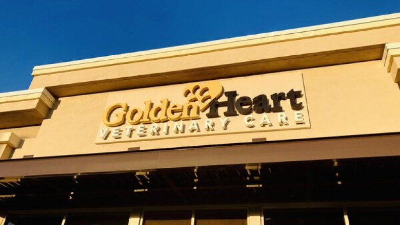 Building Signs Orlando: Elevate Your Business Visibility