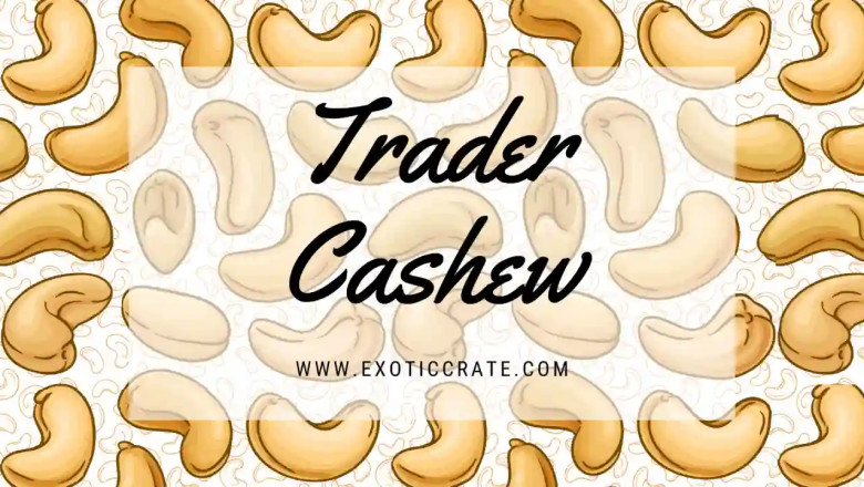 Best Cashew Nut Trader in Delhi NCR | Exotic Crate