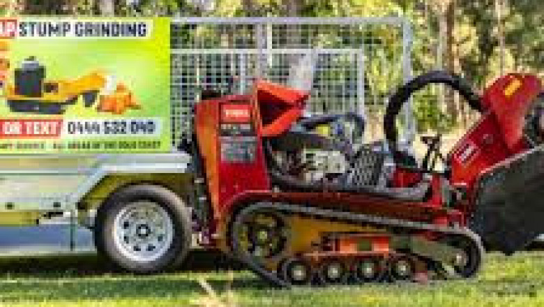 Gold Coast Tree Stump Removal: Restoring Natural Beauty