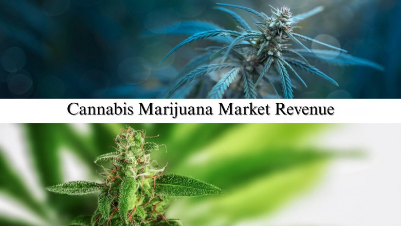 Cannabis Marijuana Market Revenue Insights and Forecast: Size, Share, and Growth, 2032