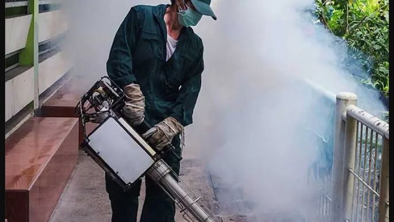 Top Reasons to Choose a Leading Pest Control Company Singapore for Your Home and Business