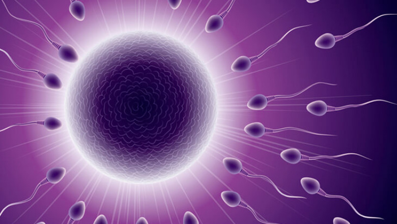 How Long Can Sperm Be Frozen? Understanding the Duration and Viability