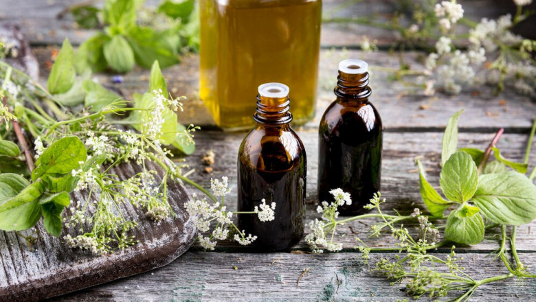 Essential Oils Market :Size, Share, Forecast & Regional Dynamics