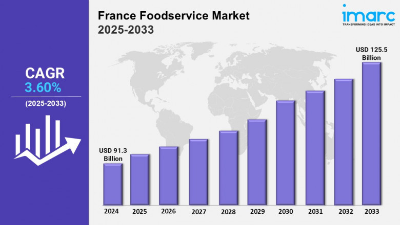 France Foodservice Market Report: Insights, and Industry Analysis 2025-2033