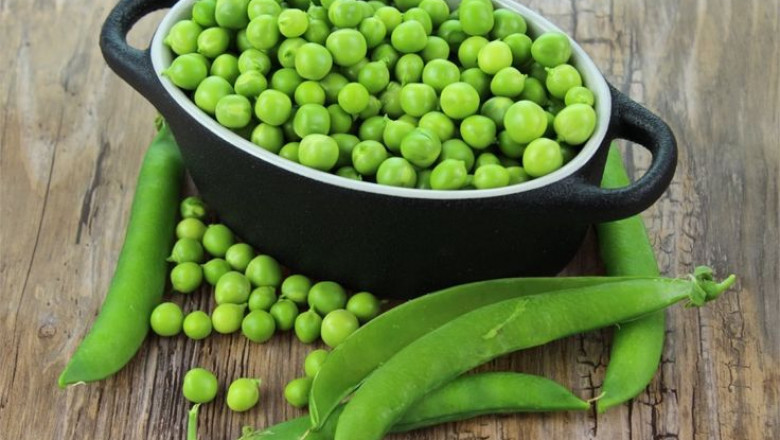 Pea Fiber Market Valuation Set to Rise with Increased Use in Dietary and Weight Management Products