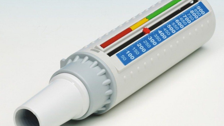 Peak Flow Meter Market Trends Indicate High Adoption in Clinical and Homecare Settings Globally