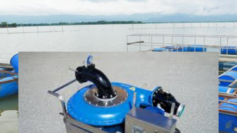 The Growing Fish Pumps Market: Trends, Opportunities, and Future Outlook