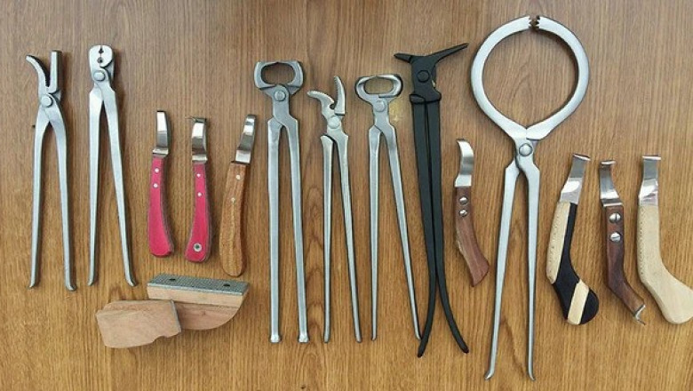 What Are Farrier Tools Used For? Everything You Need to Know