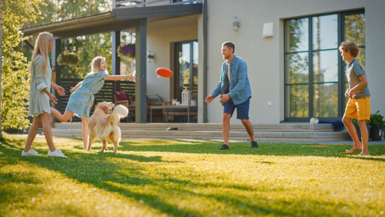 Pest Control Drummoyne