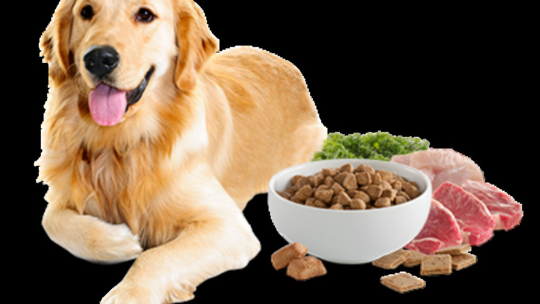 Pet Food Market Analysis Shows Steady Rise in E-Commerce Sales and Subscription-Based Models