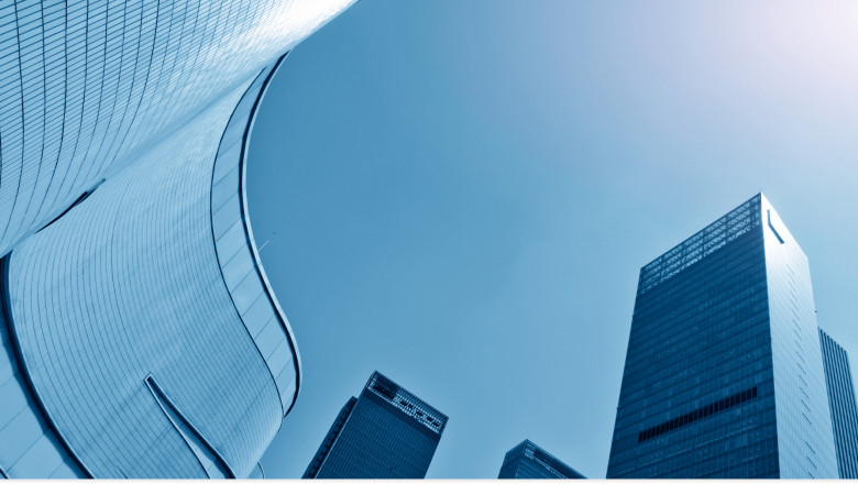 The Significance of Professional Consultancy and Certification Services to Business Success