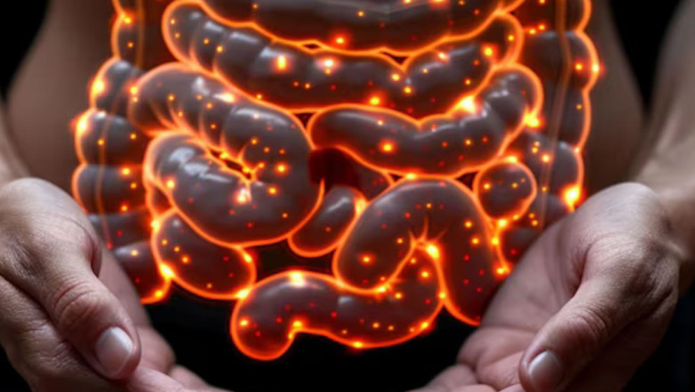 Viral Gastroenteritis Market: Trends, Growth, and Future Outlook (2024)