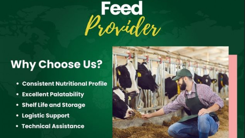 Advantages of DDGS in Livestock Feed – Why Enpro Feeds is the Intelligent Choice