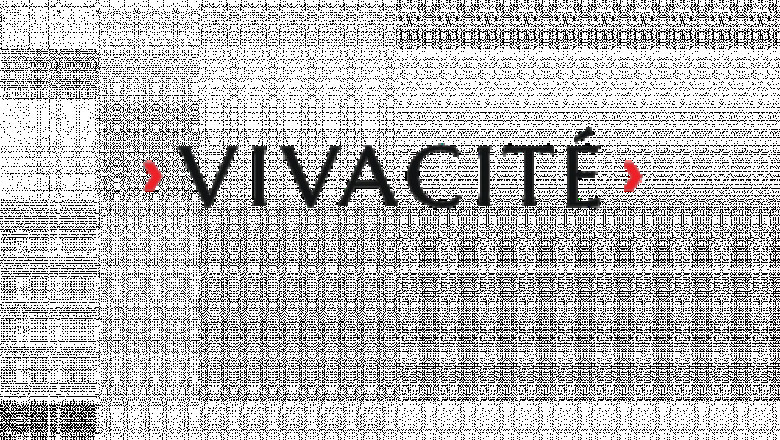 From Contemporary to Classic: Vivacite Has the Perfect Sliding Door for Every Style