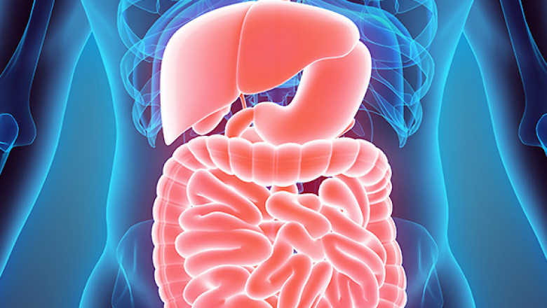 GERD and NERD Treatment Market Expected to Drive Growth through 2025-2033