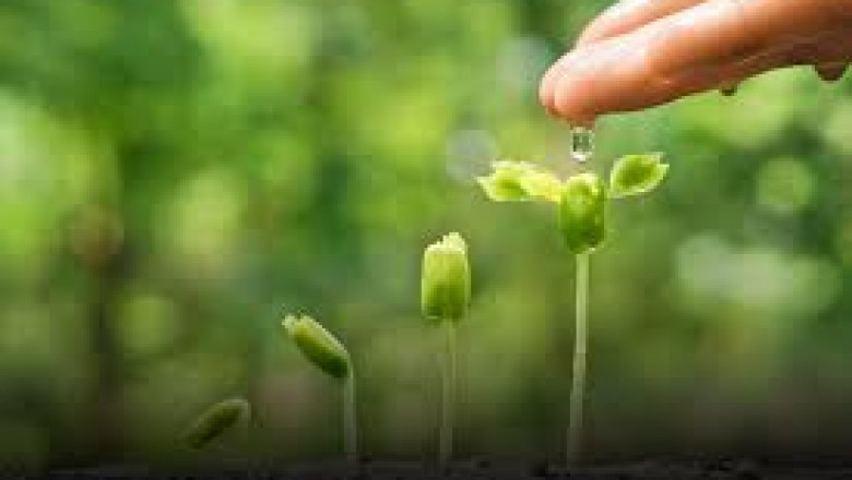 The Rising Tide of Green Finance Market: Opportunities and Trends in a Greener Economy