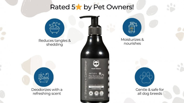 What Is Hachi Wilson Dog Shampoo?